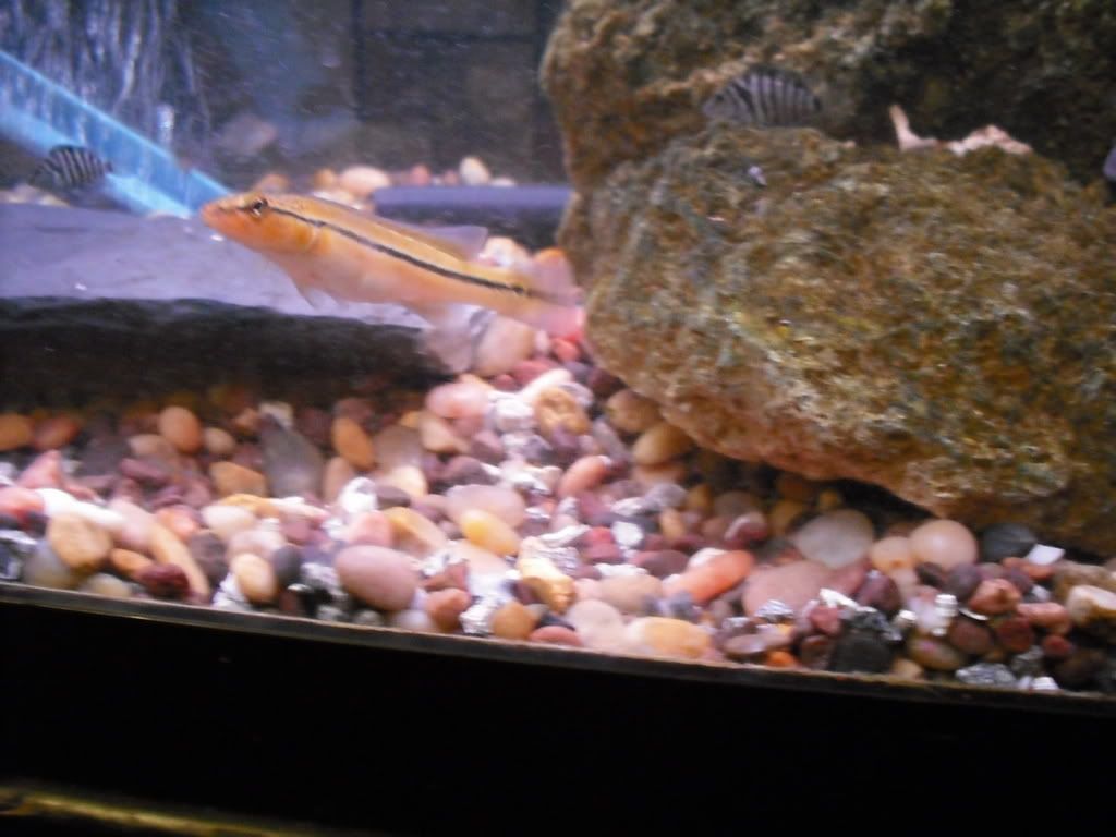 DSCF2322.jpg