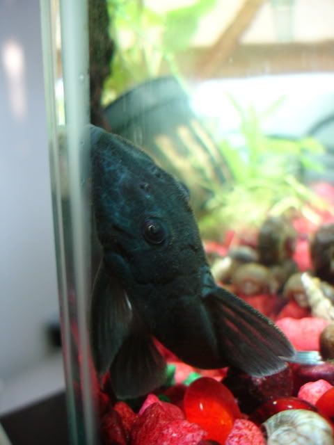 DSC03277.jpg