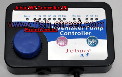 wp1f_1.jpg