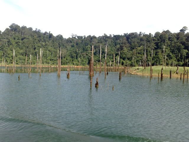 10082010898-Copy.jpg