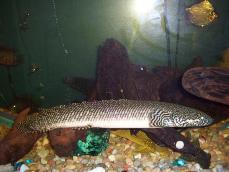 100_2738.jpg
