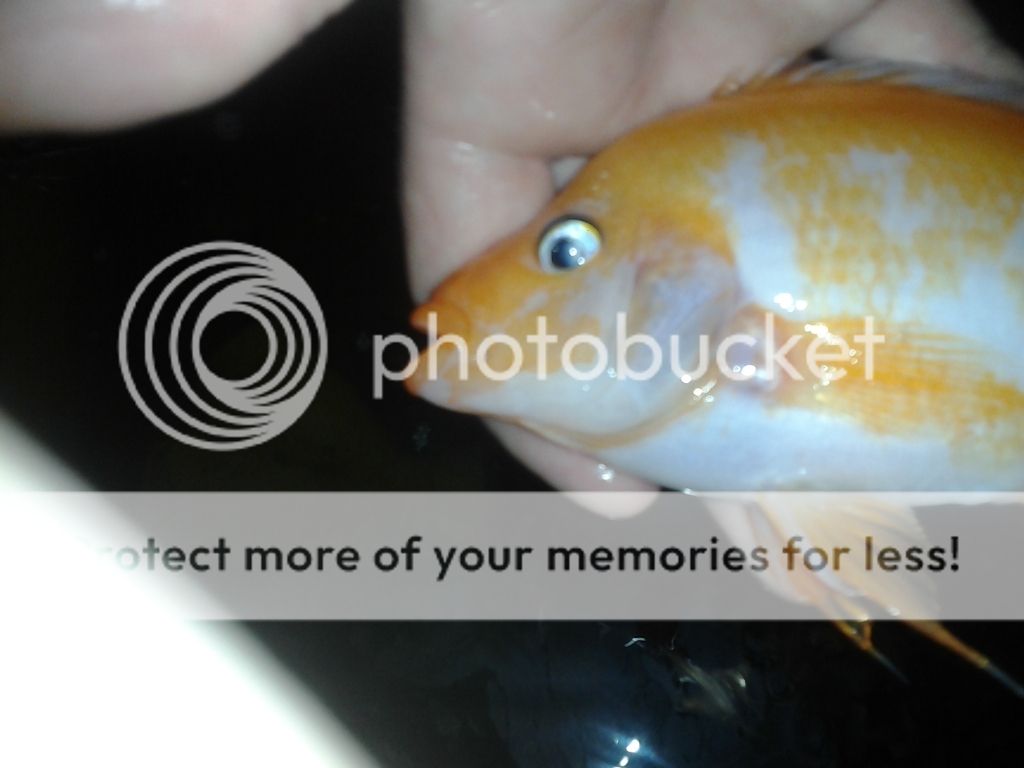 2011-11-08112004.jpg