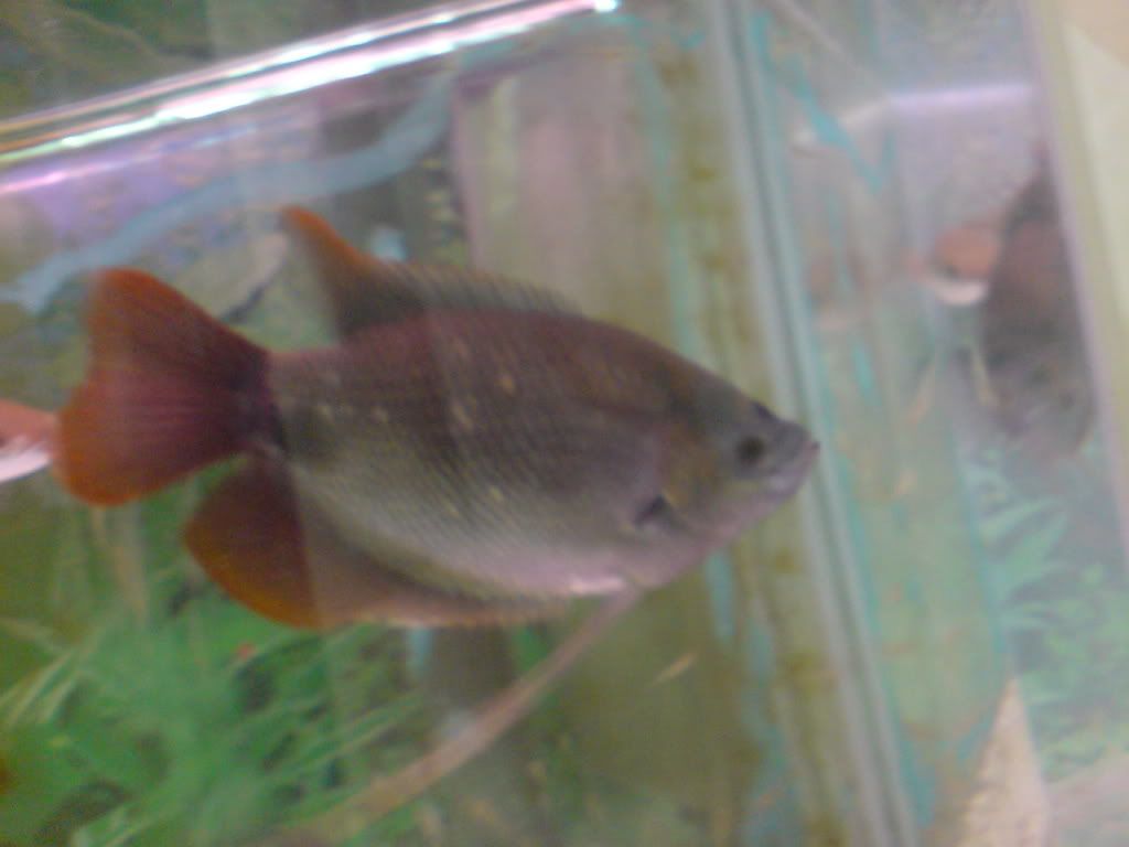 DSC00030.jpg