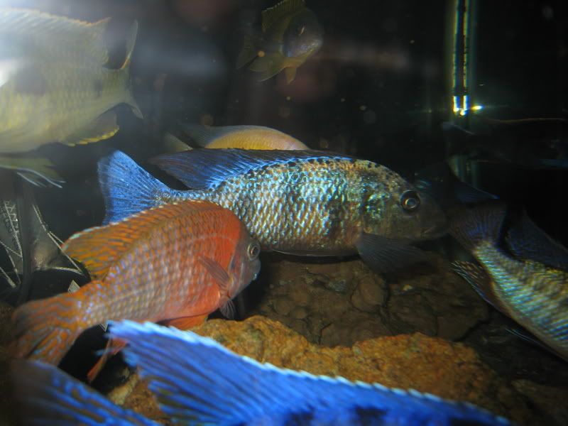 IMG_4780.jpg