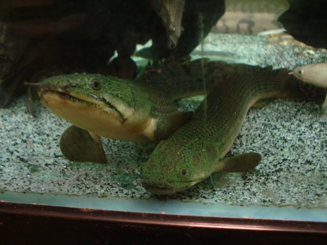 DSC07747.jpg