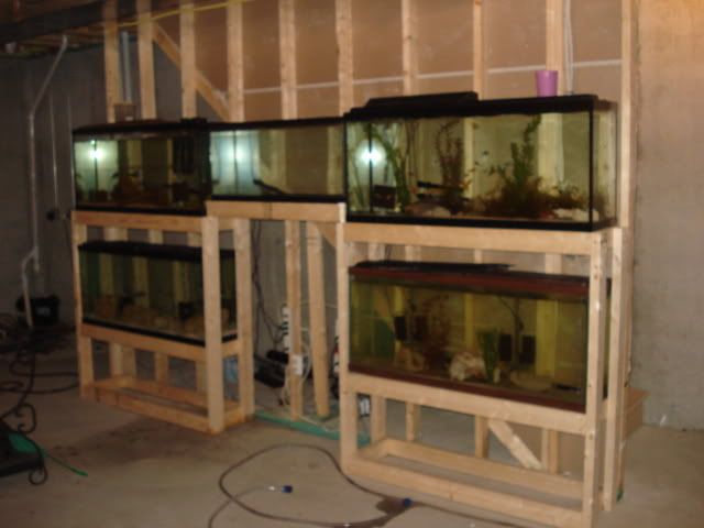 DSC01792.jpg