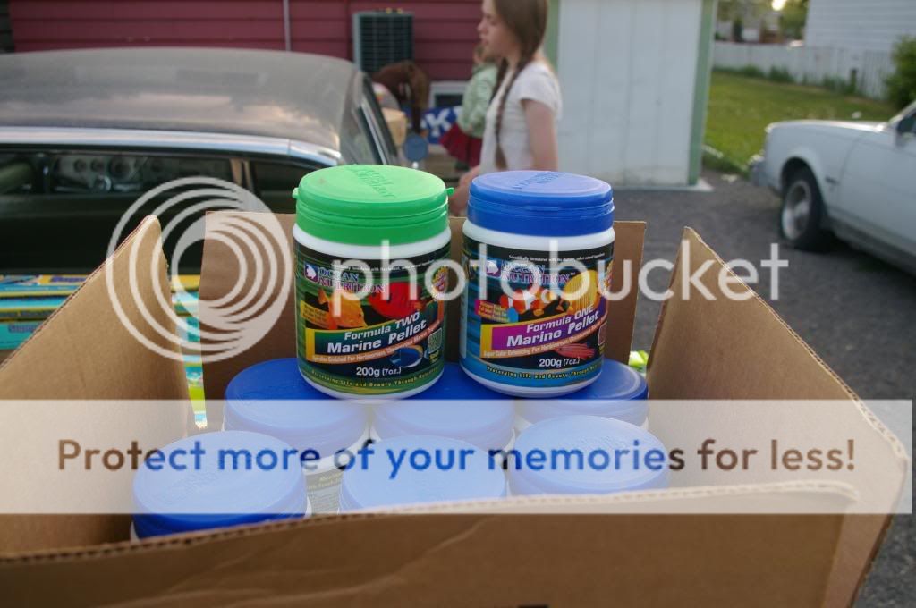 IMGP3636.jpg