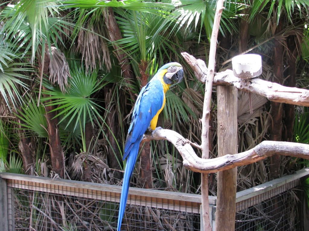 IMG_0785.jpg