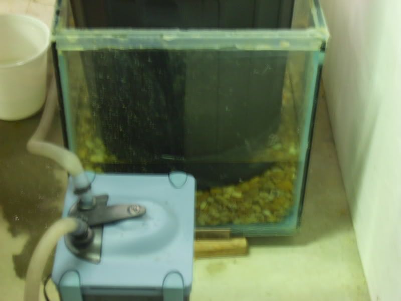 newcamera025.jpg