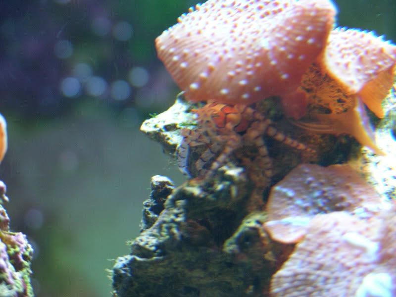 DSCN7097.jpg