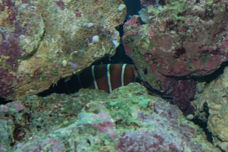 DSC_0009.jpg