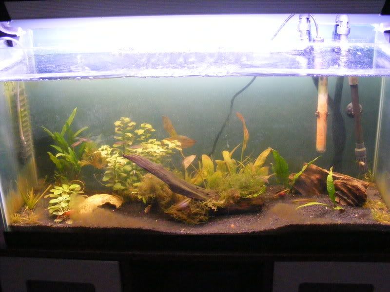 33gallon004.jpg