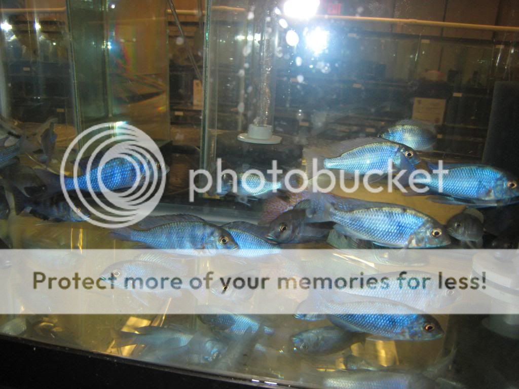 IMG_9420.jpg