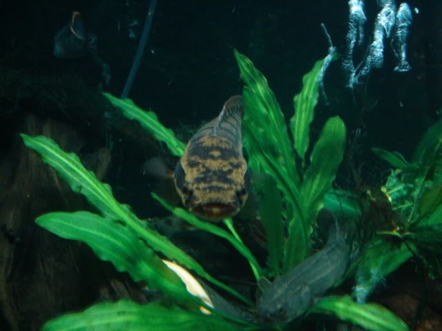DSC01062.jpg