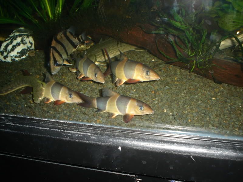 DSC01318.jpg