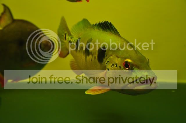 DSC_0310.jpg