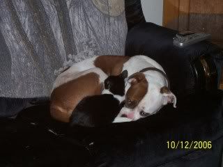 100_0387.jpg