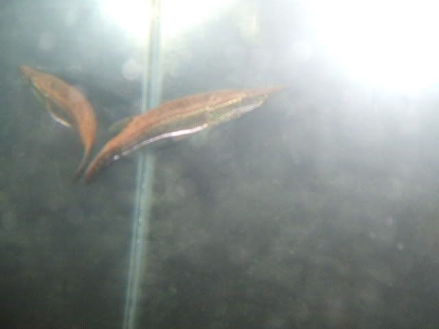 DSCF2425.jpg