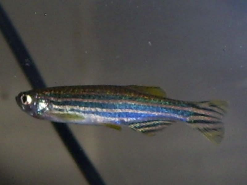 S5031284.jpg
