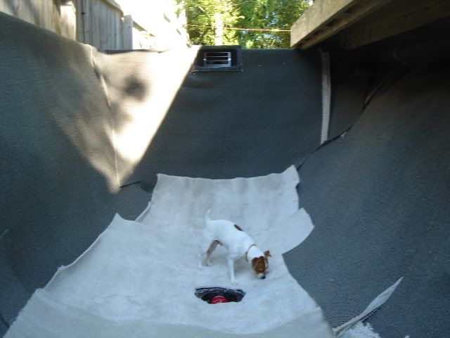 DSC04989.jpg