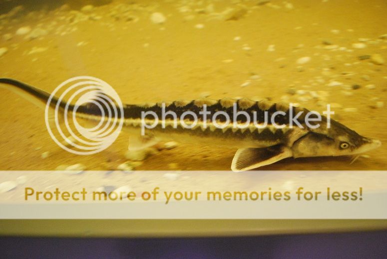 2012-12-303_zps8abaa453.jpg