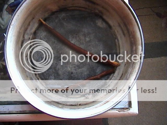 DSC00009.jpg