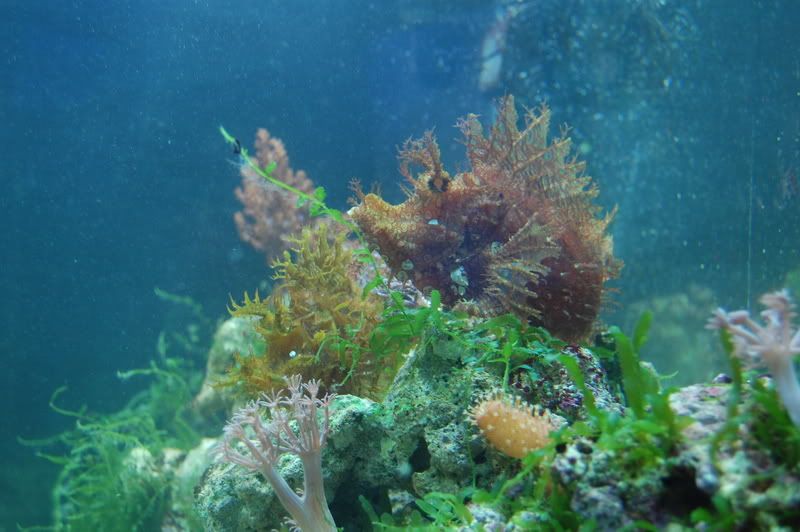 DSC_0363.jpg