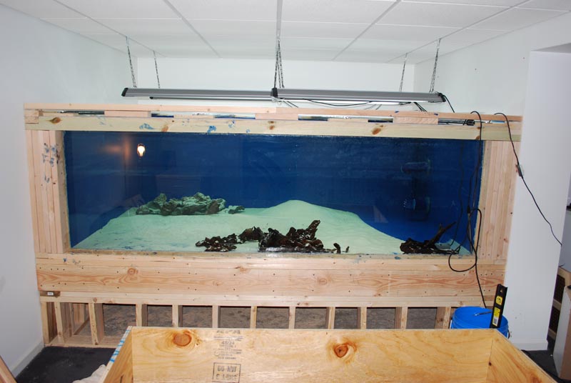 DSC_0190.JPG