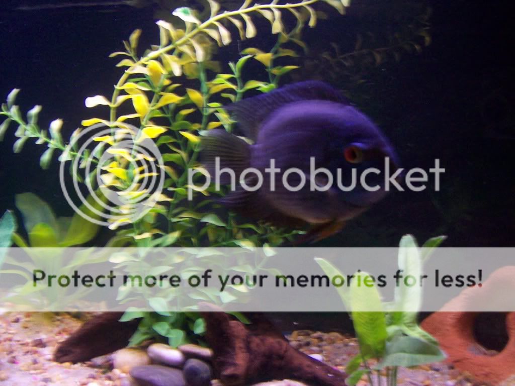100_0763.jpg