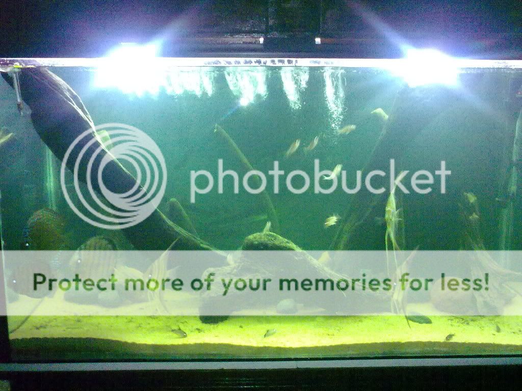 30052009132.jpg