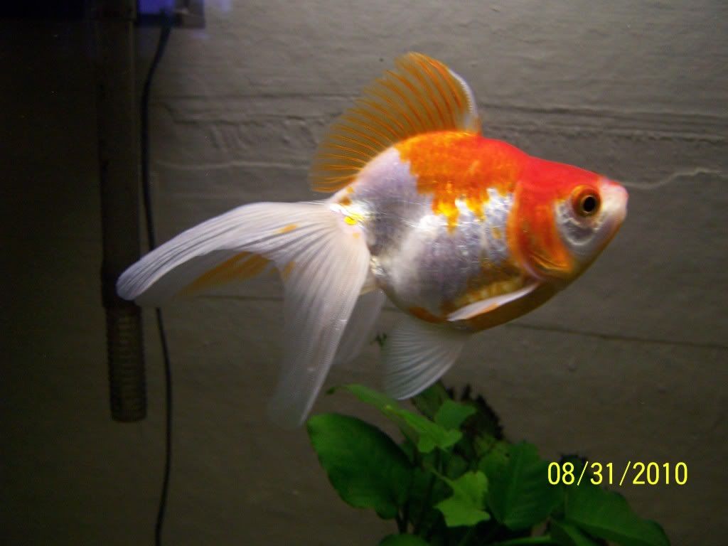100_4937.jpg