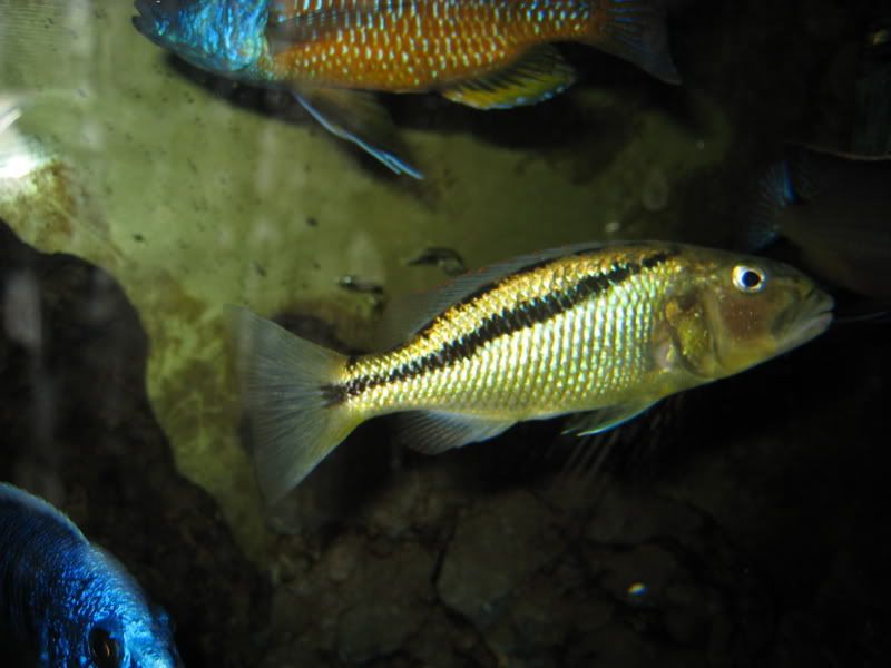 IMG_1973.jpg