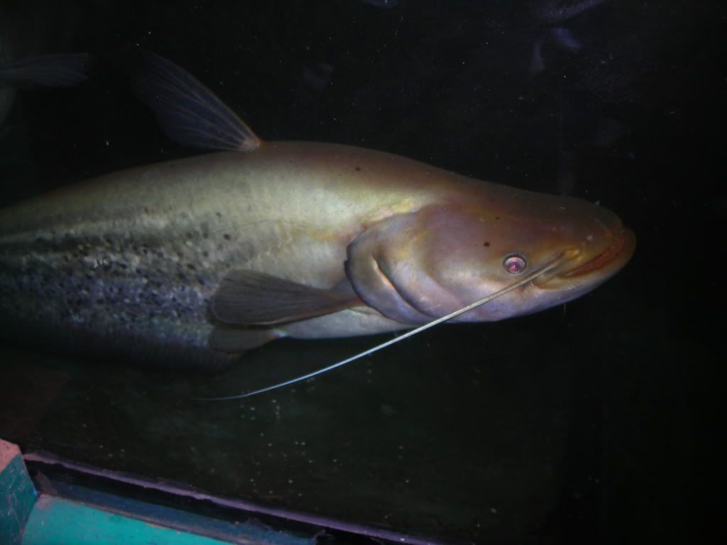 DSCN1865.jpg