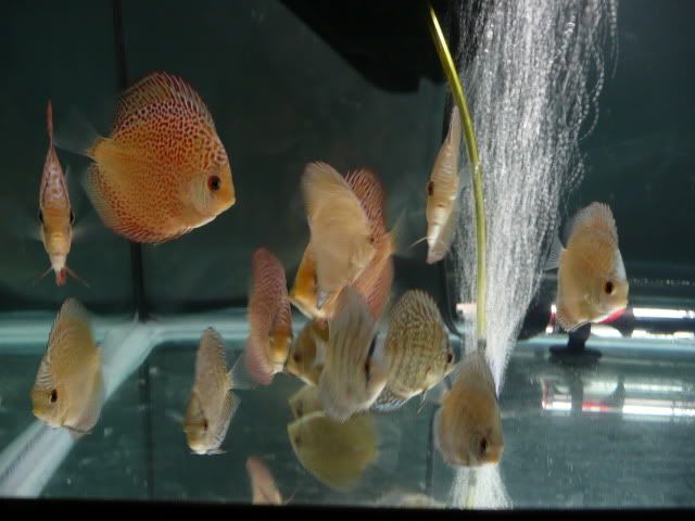 P1030303.jpg