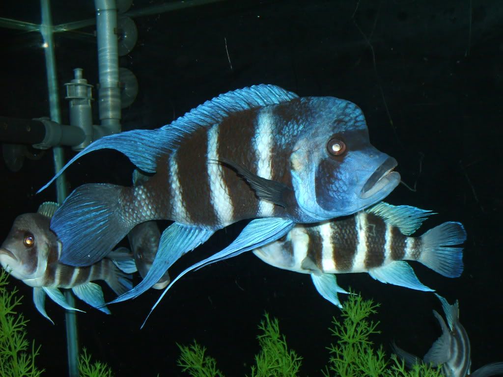 SD530263.jpg