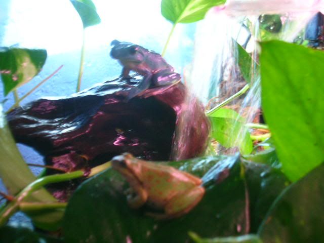 DSCN8580.jpg