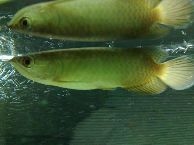 110220081521.jpg