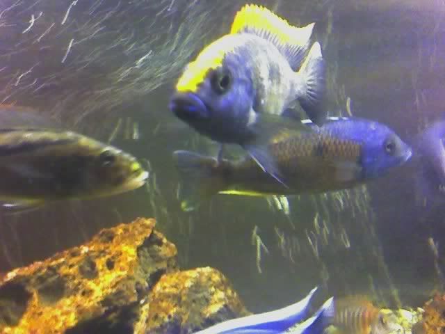 04-07-07_2207.jpg