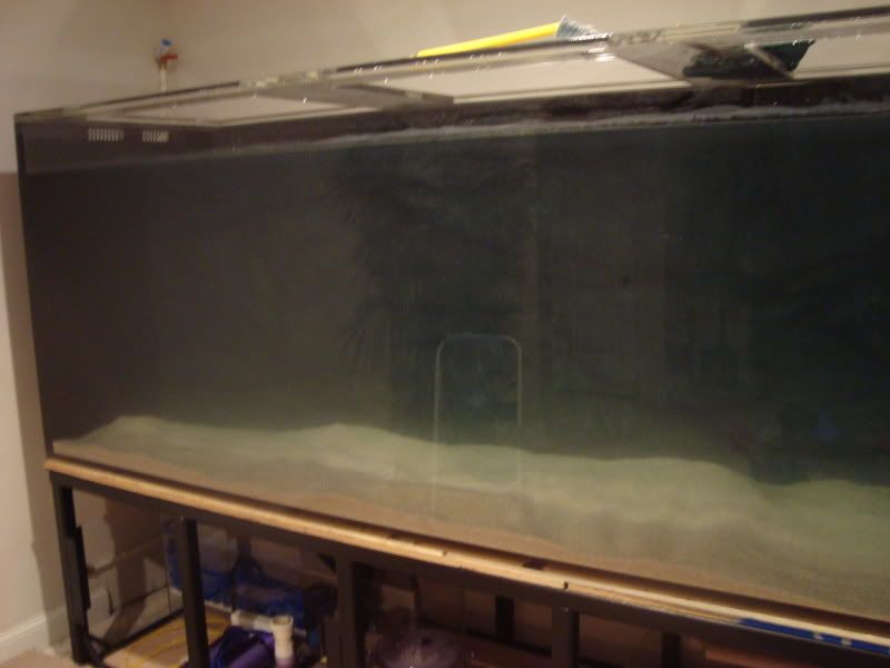 fishtankbuild2029.jpg