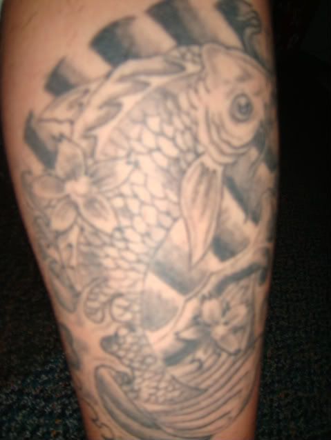 DSC01659-1.jpg