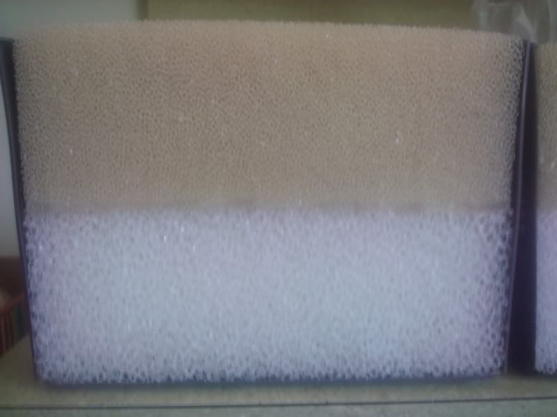 Foam1.jpg