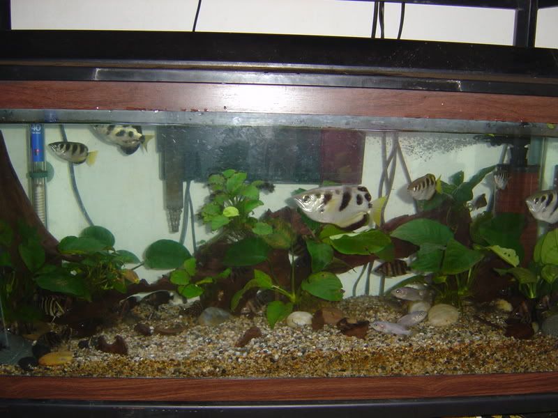 120gpt2008.jpg