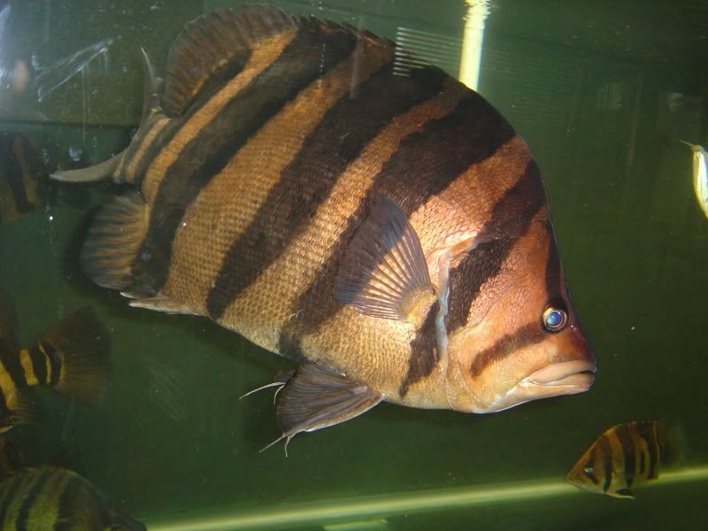 8-5-08008.jpg