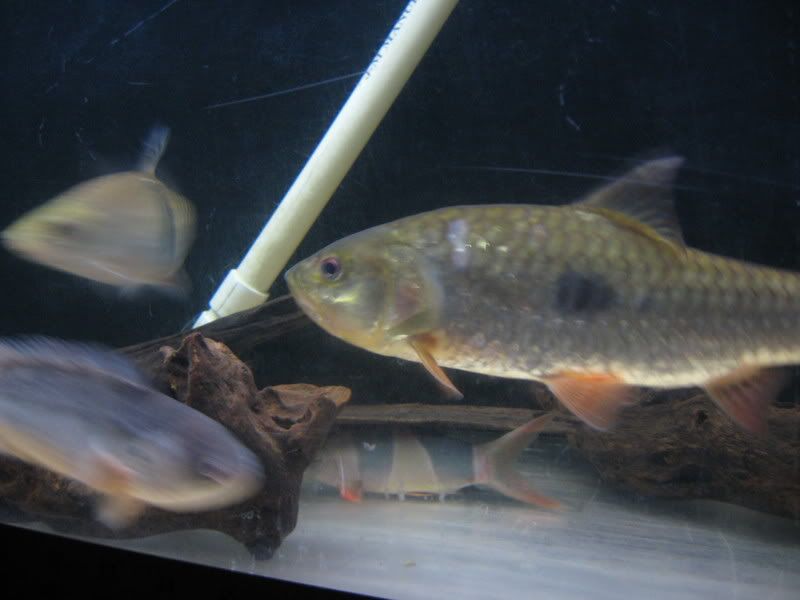 5-17-08009.jpg