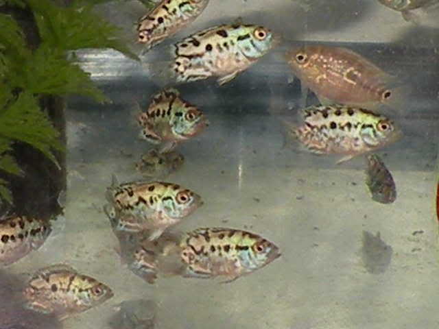 RSCN0772.jpg