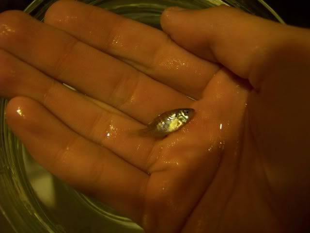 100_0802.jpg