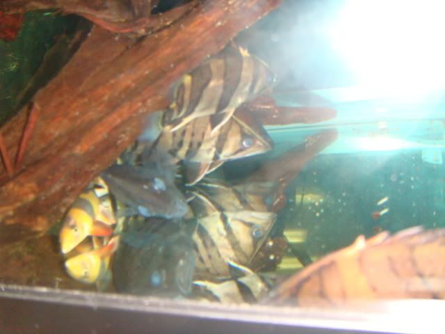 DSC01088.jpg