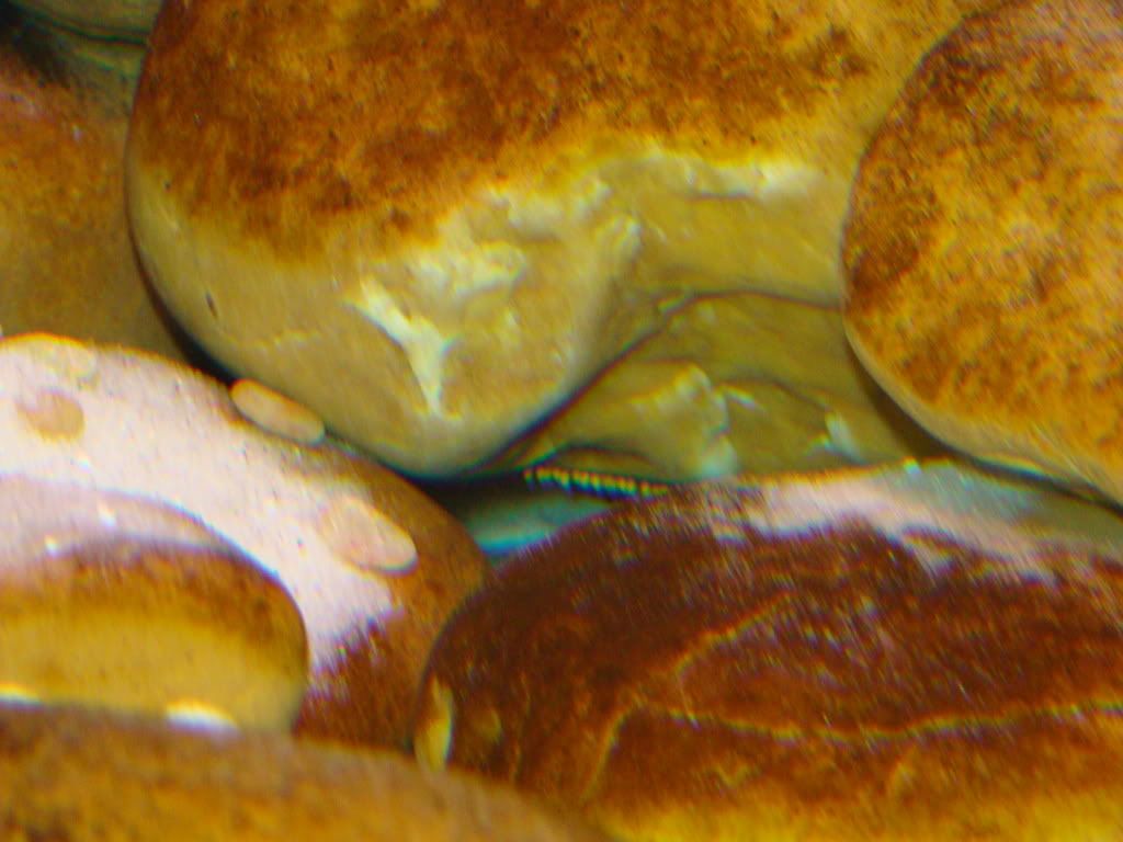 DSC00092.jpg