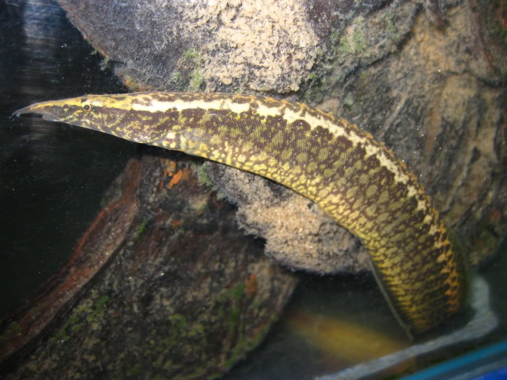IMG_0541.jpg
