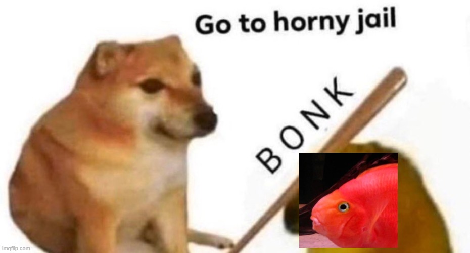 V8Xcwgt.jpg